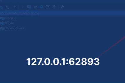 What Is 127.0.0.162893 A Look at Localhost Communication and Port Usage